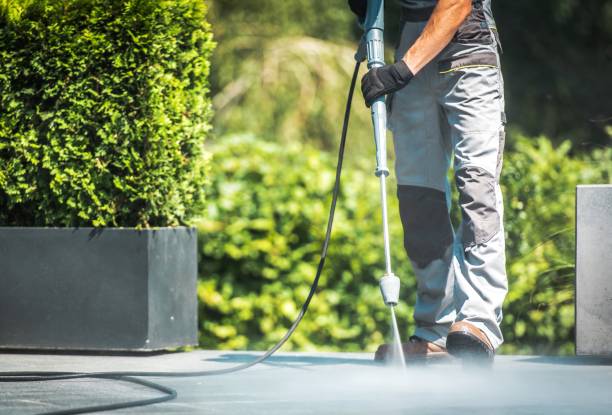 Pre-Holiday Cleaning in Three Rivers, MI